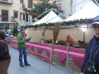DSCF0979