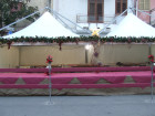 DSCF0981